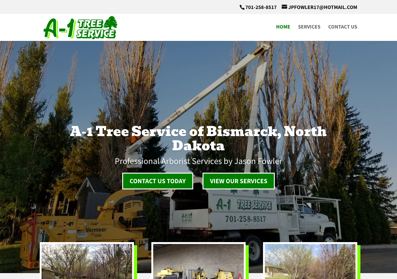 Current website screenshot