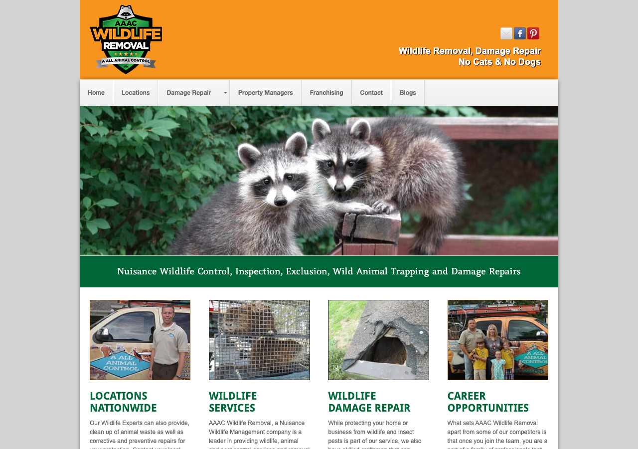 Current website screenshot
