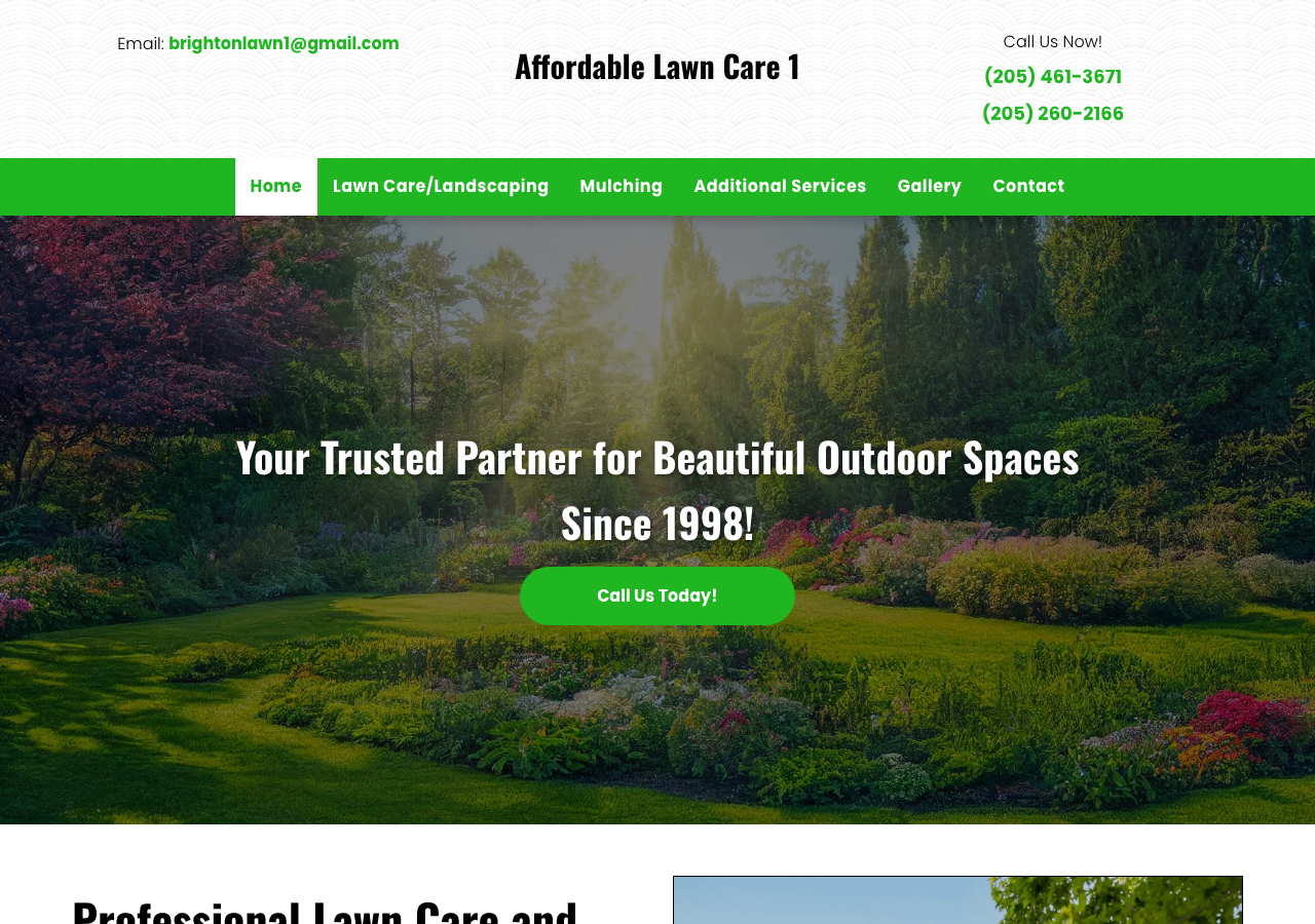 Current website screenshot