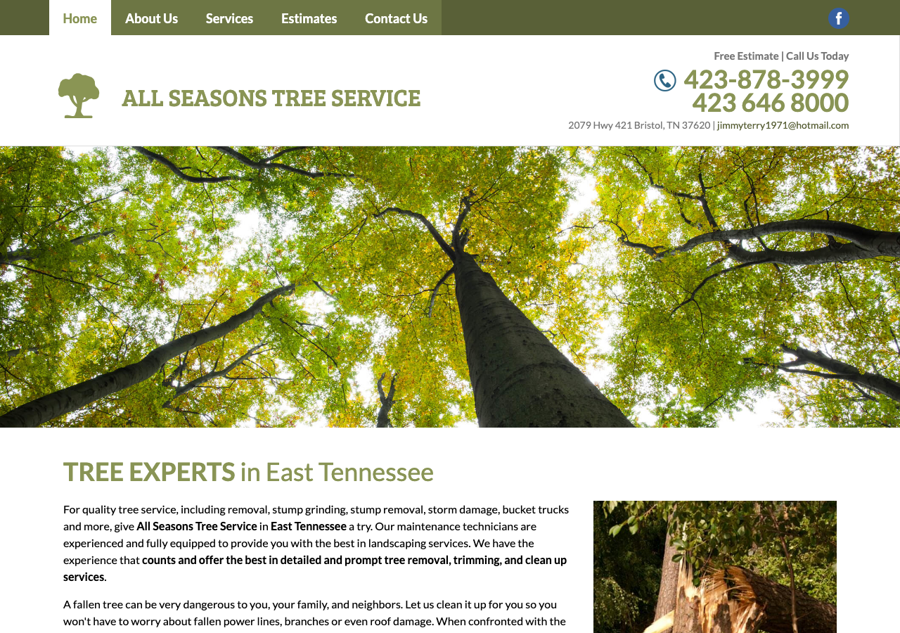 Current website screenshot