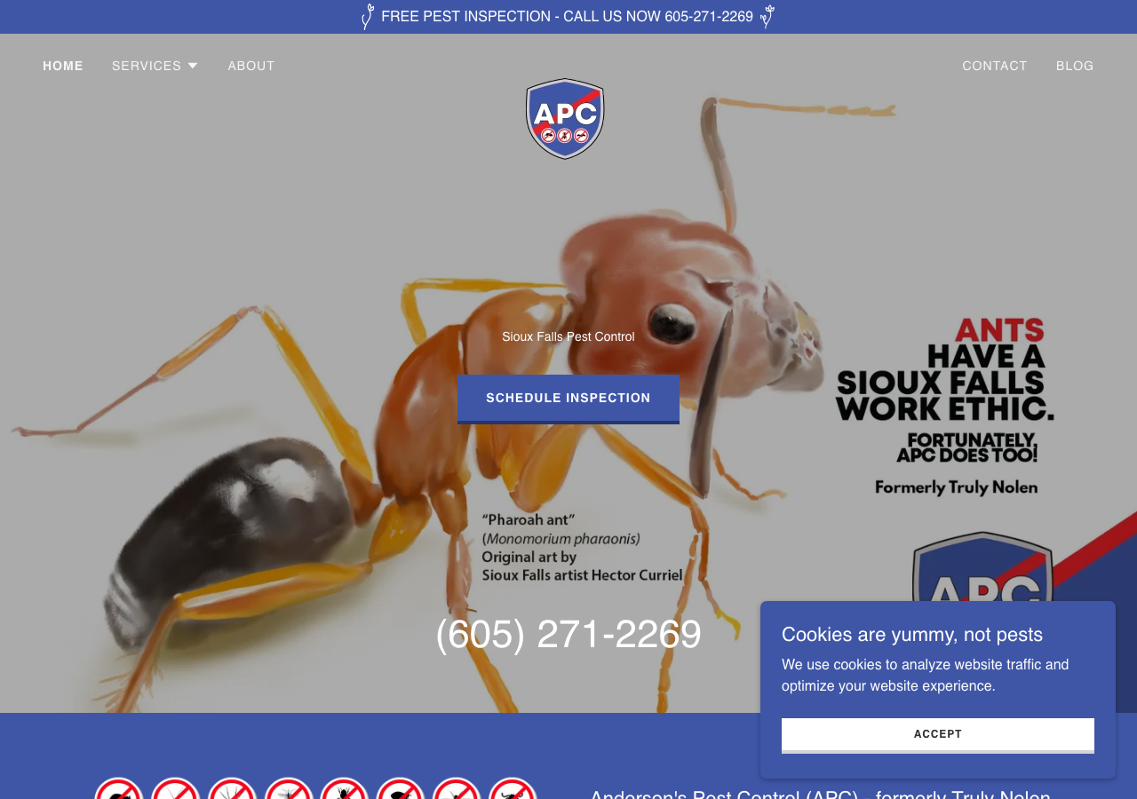 Current website screenshot