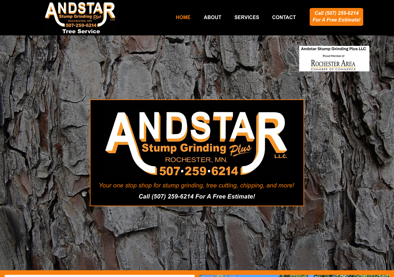 Current website screenshot