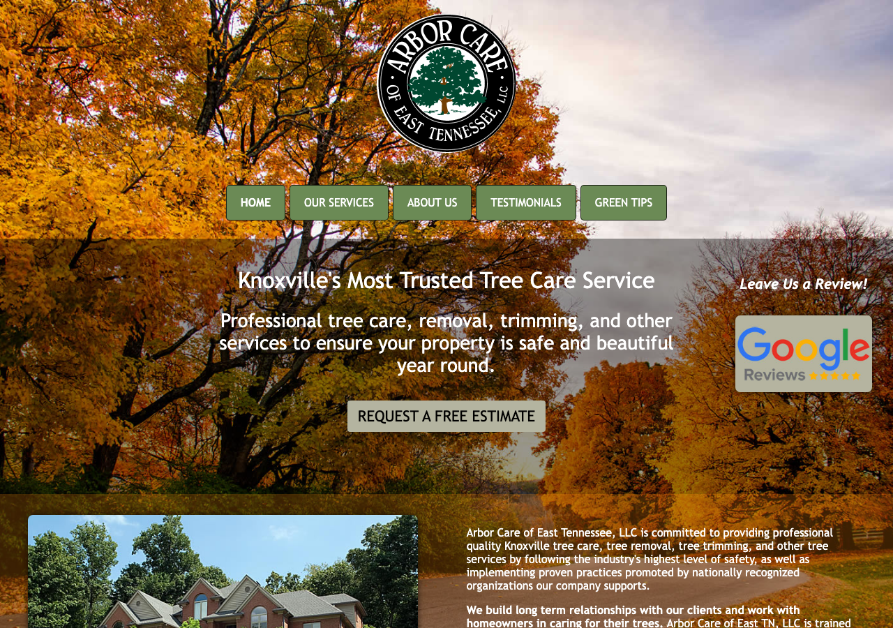 Current website screenshot