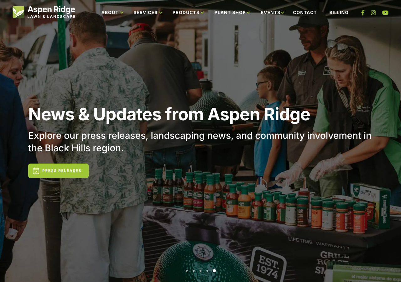 Current website screenshot