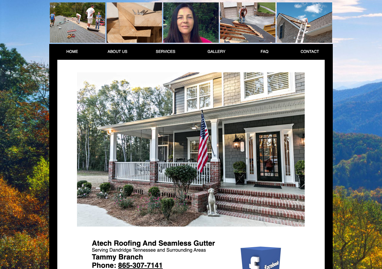 Current website screenshot