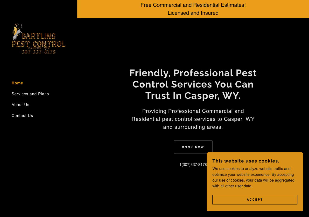 Current website screenshot