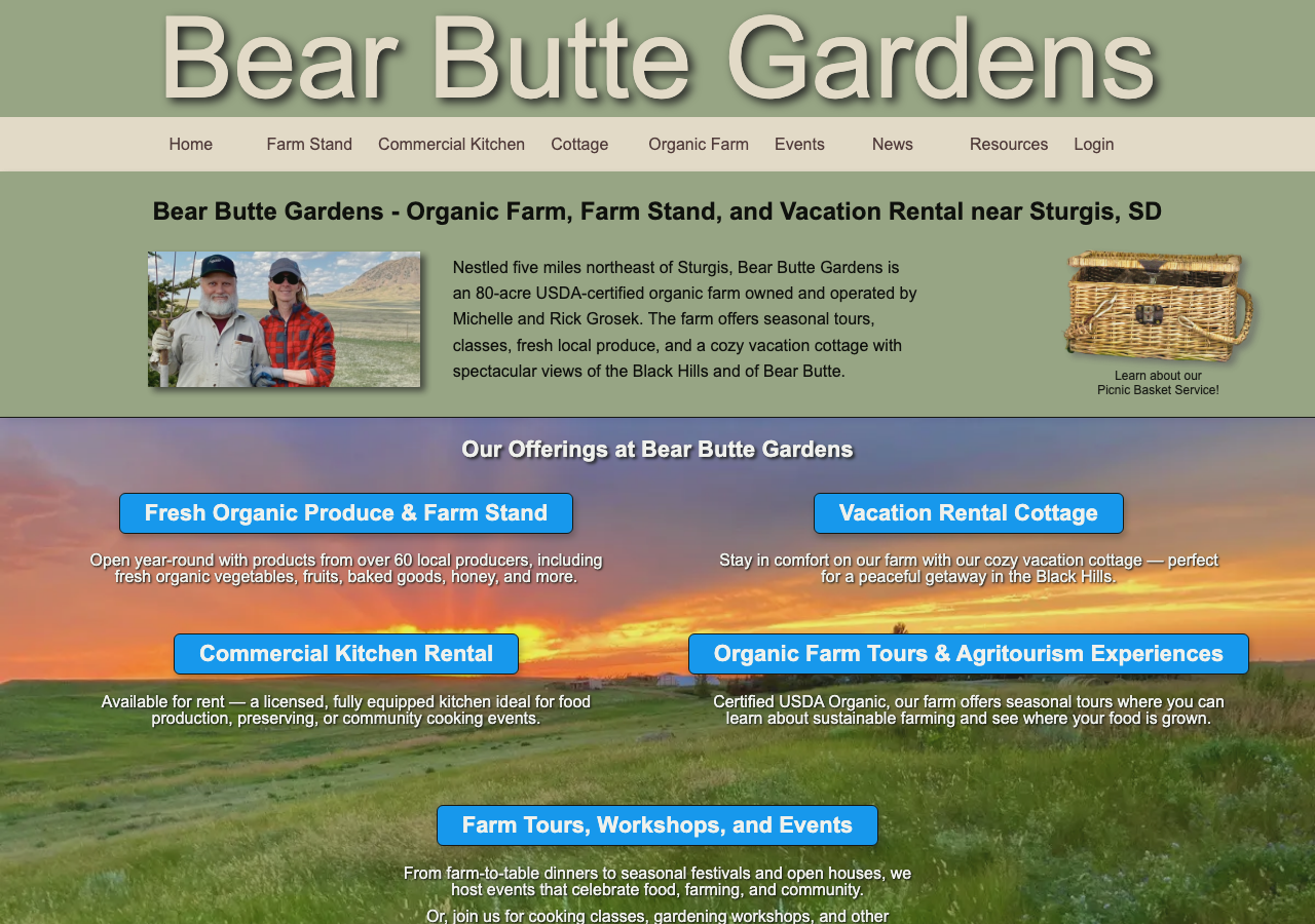 Current website screenshot