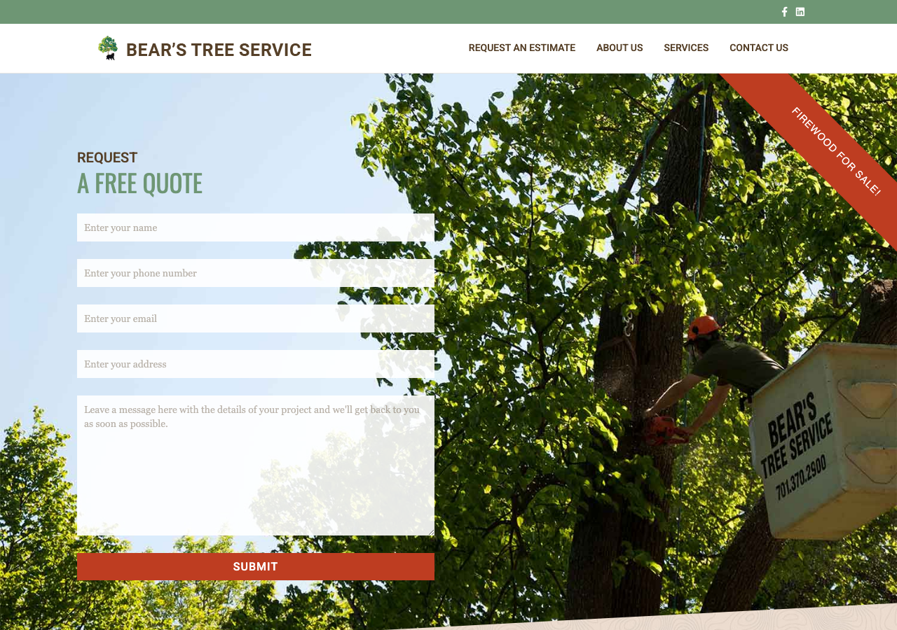 Current website screenshot