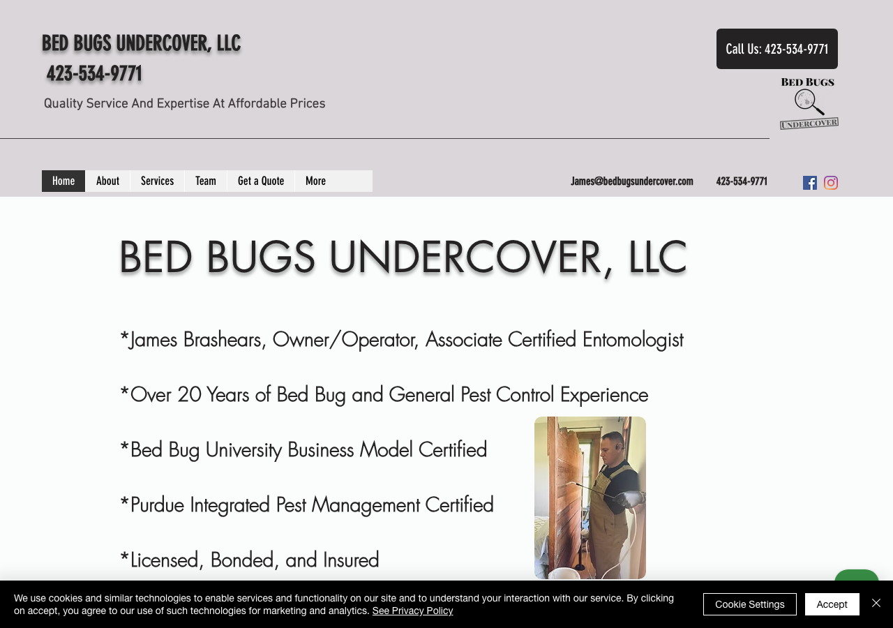 Current website screenshot