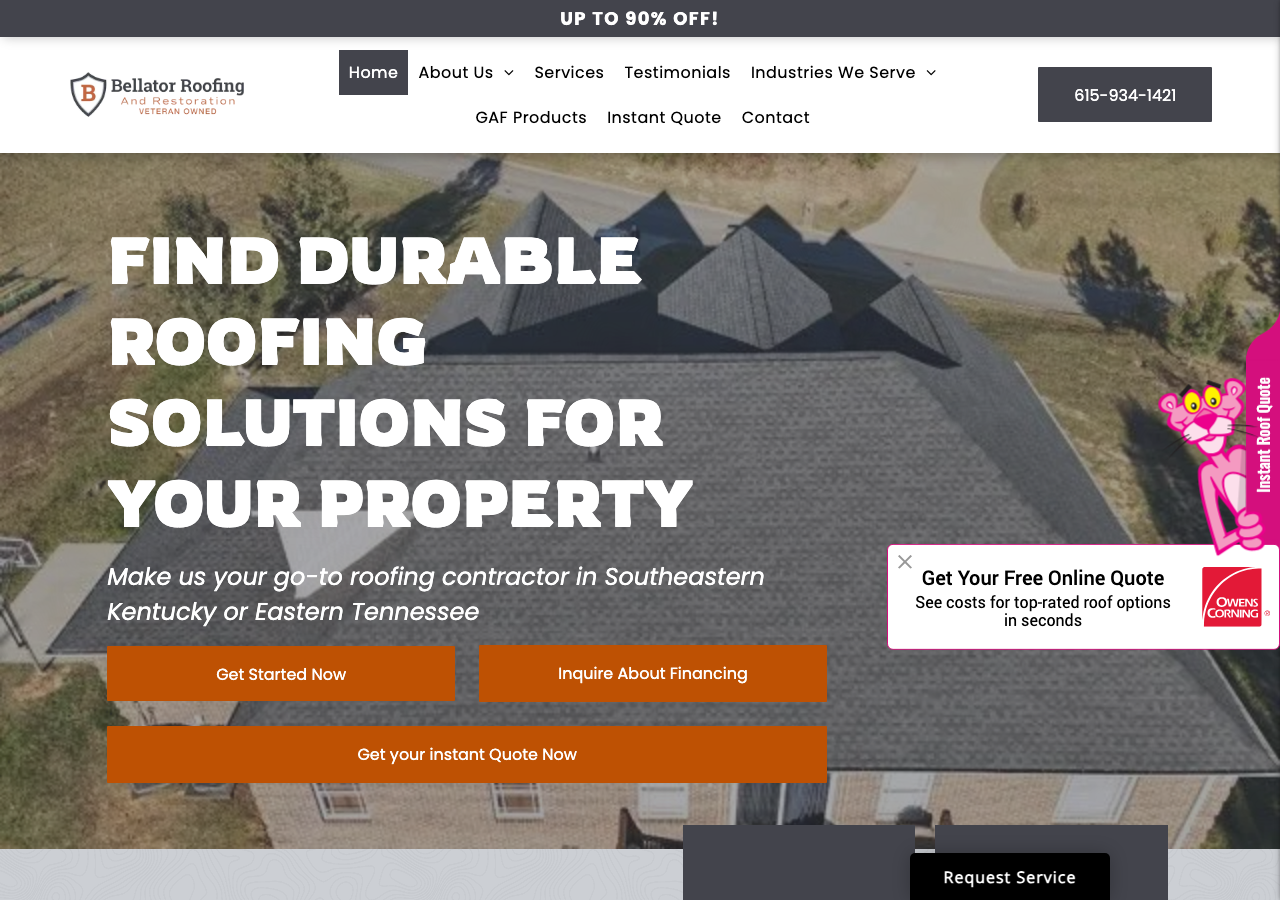 Current website screenshot