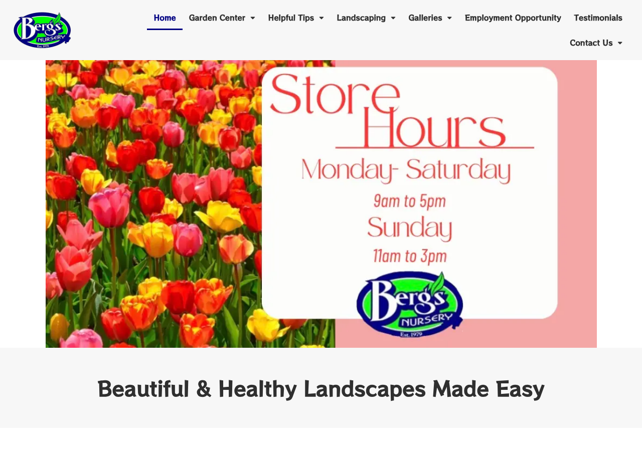 Current website screenshot