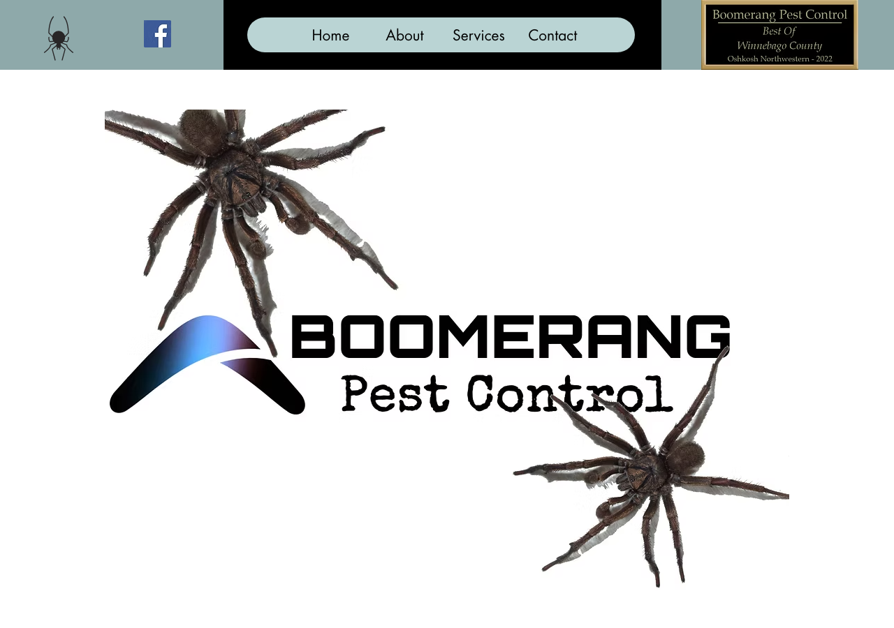 Current website screenshot
