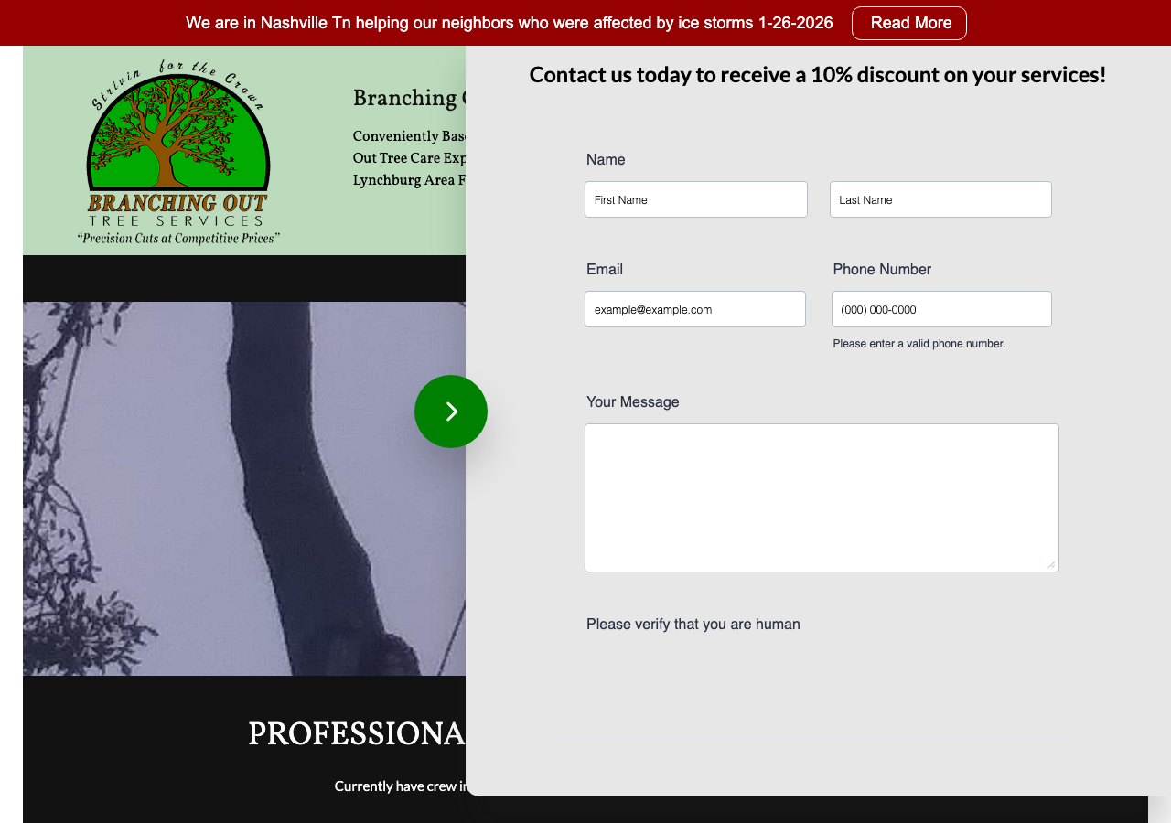Current website screenshot