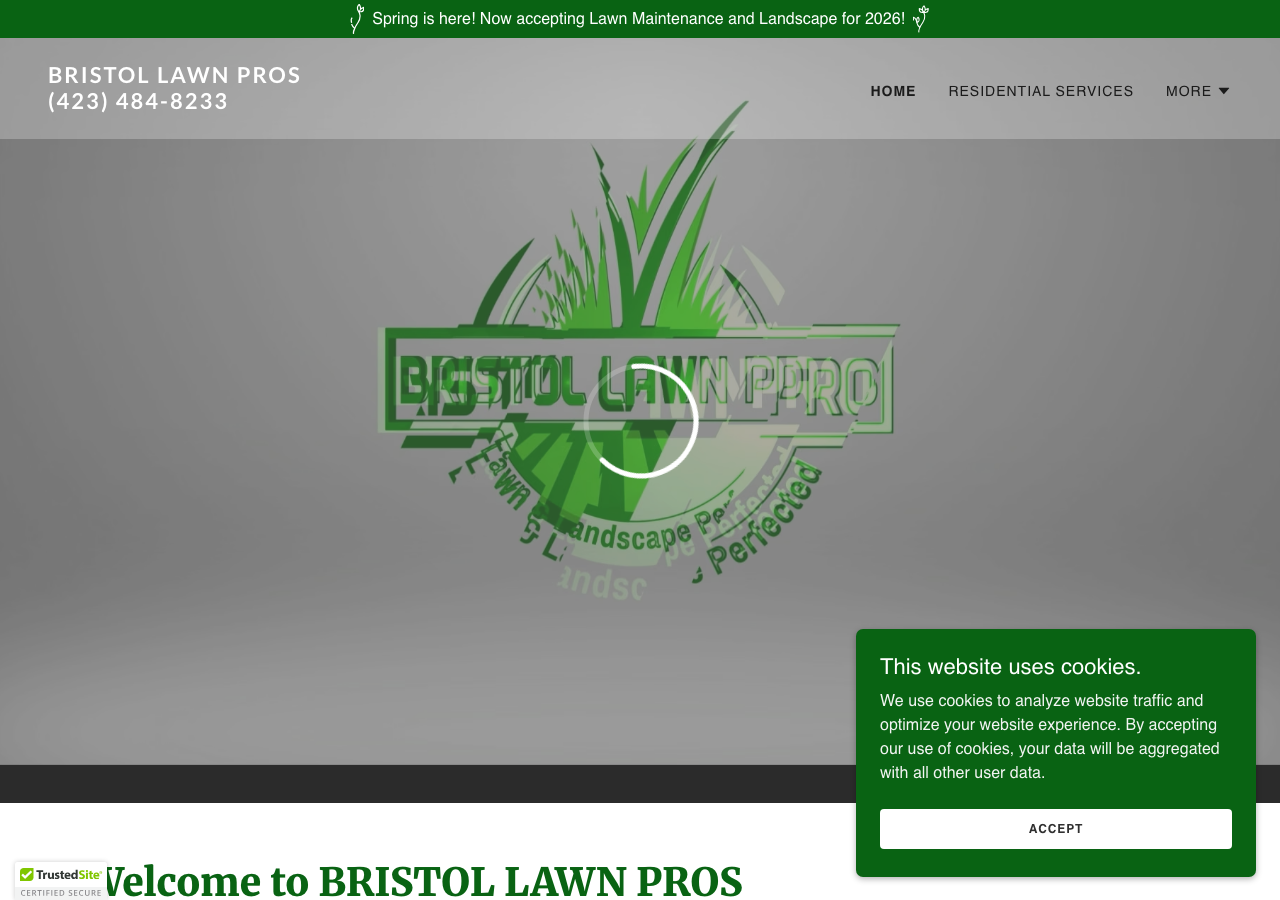 Current website screenshot