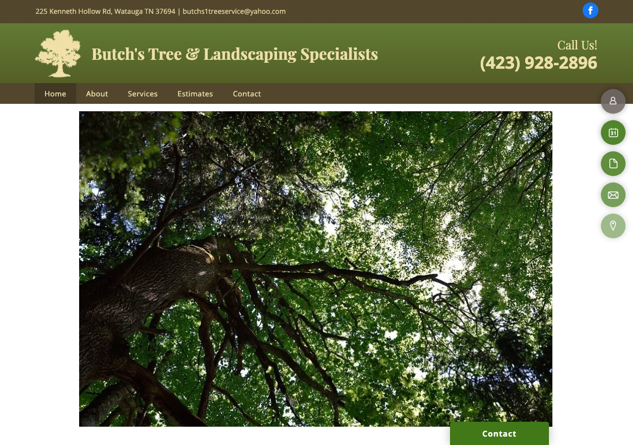 Current website screenshot