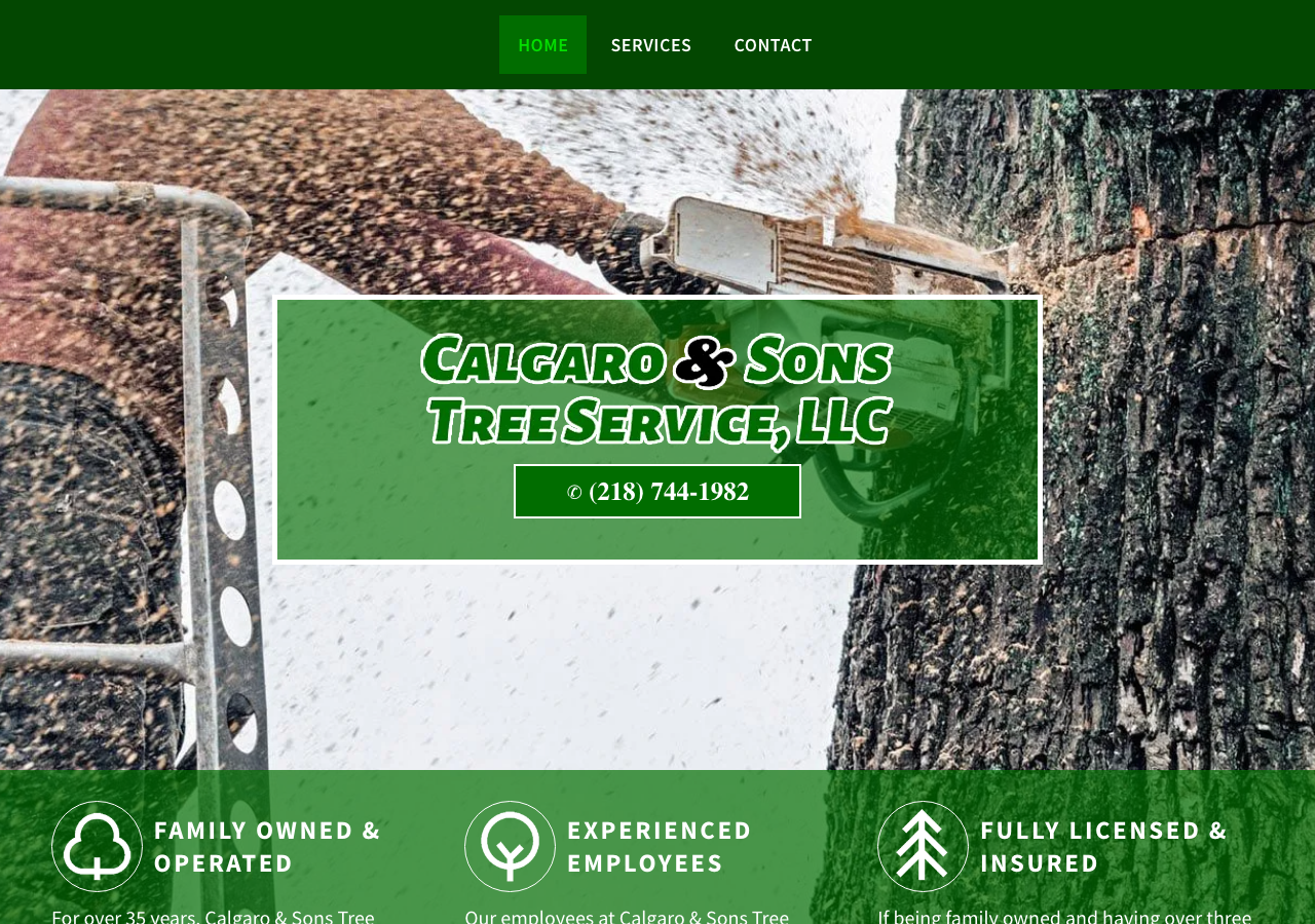 Current website screenshot