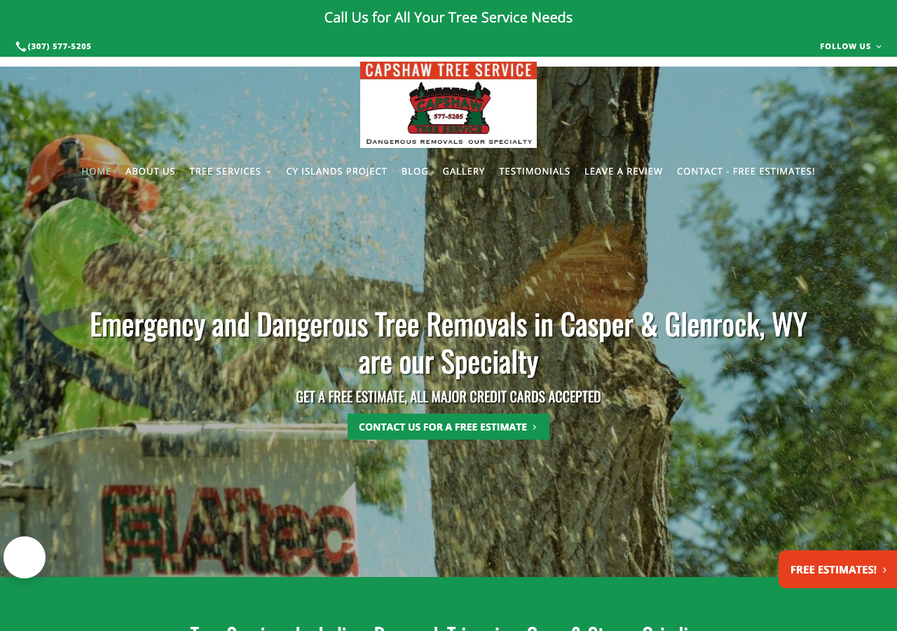 Current website screenshot