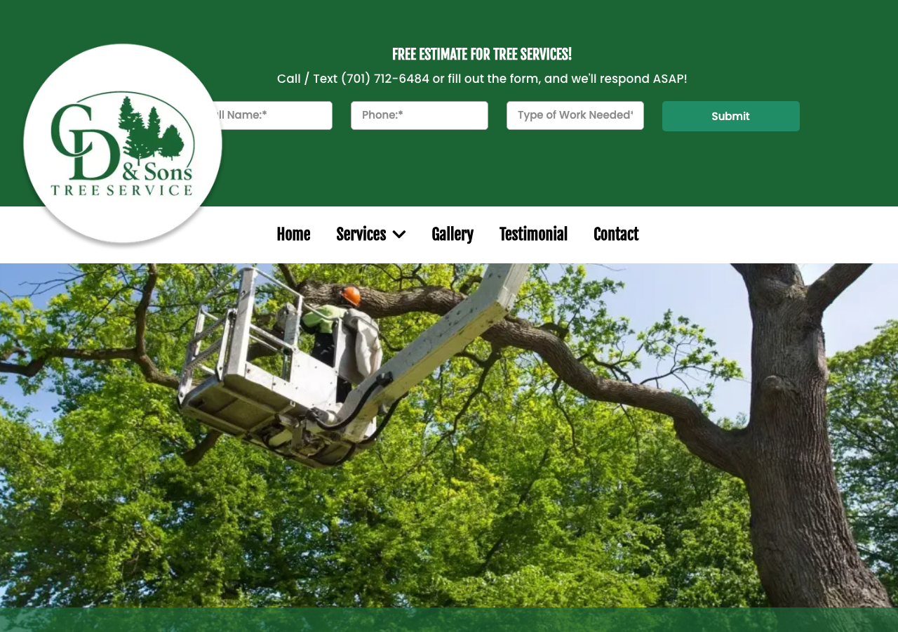 Current website screenshot