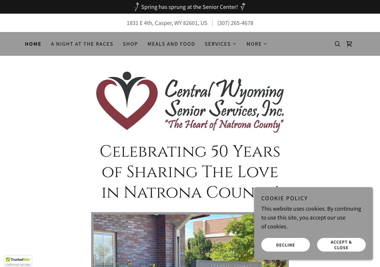 Current website screenshot