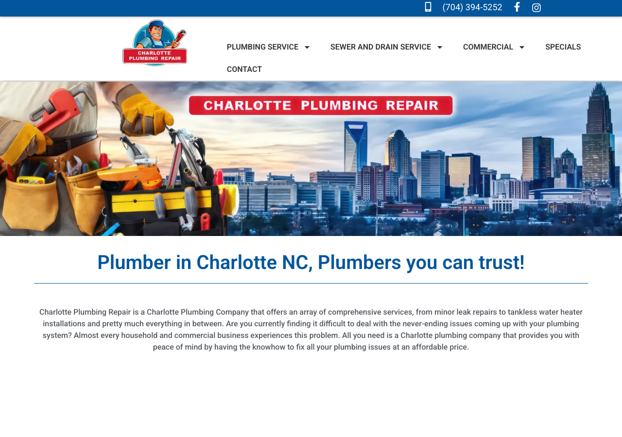 Current website screenshot