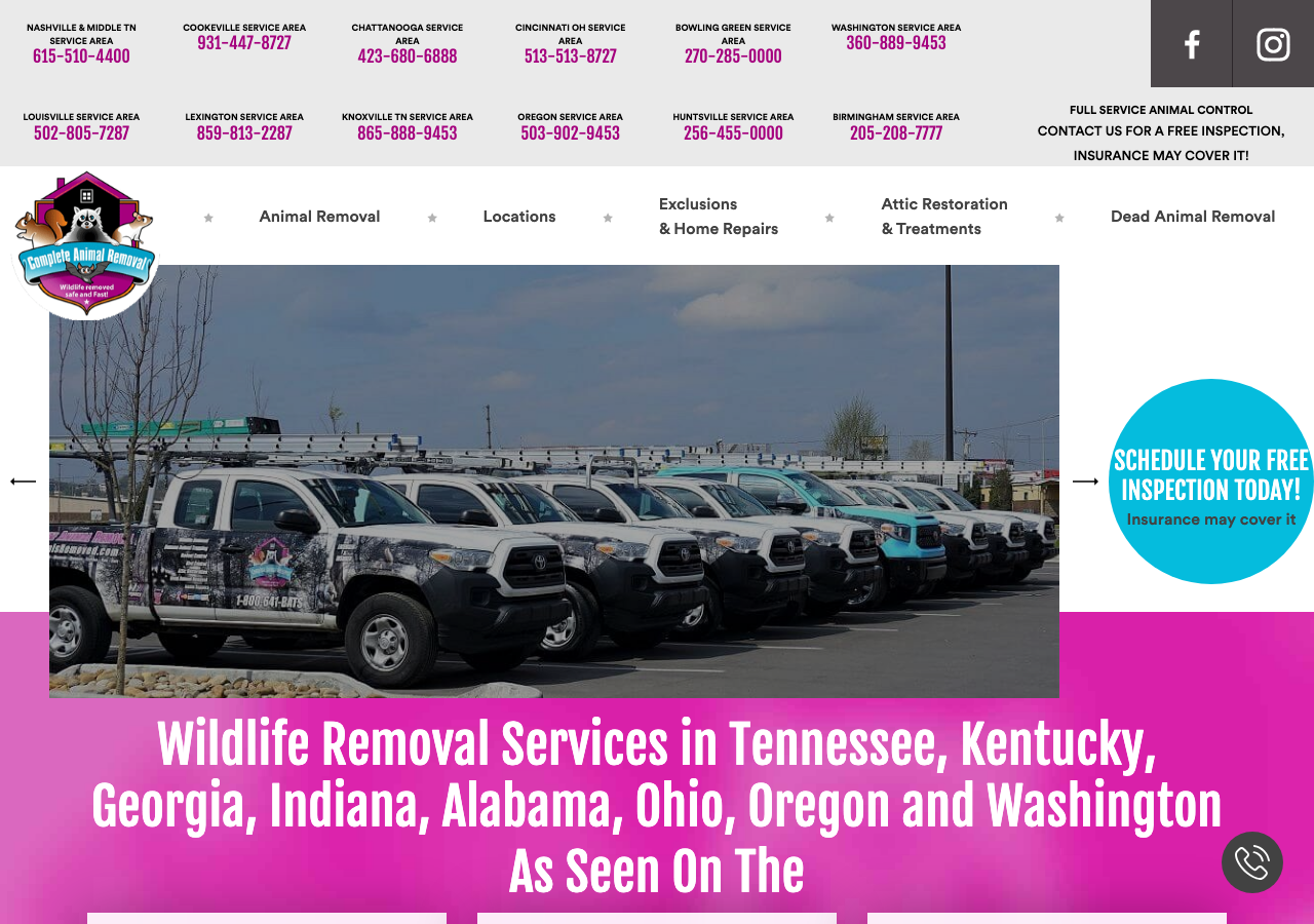 Current website screenshot