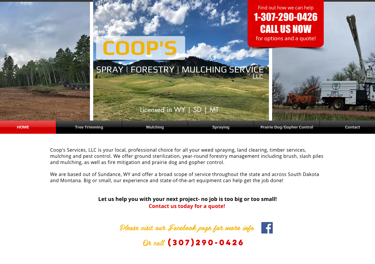 Current website screenshot