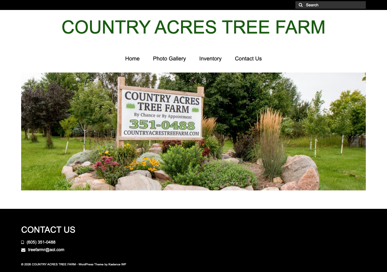 Current website screenshot