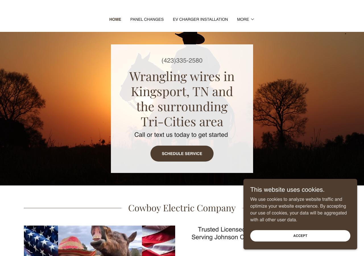 Current website screenshot