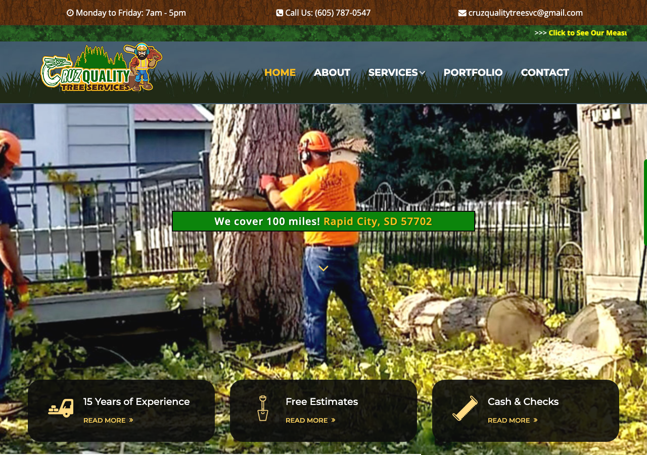 Current website screenshot