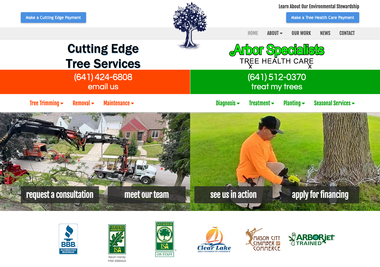 Current website screenshot