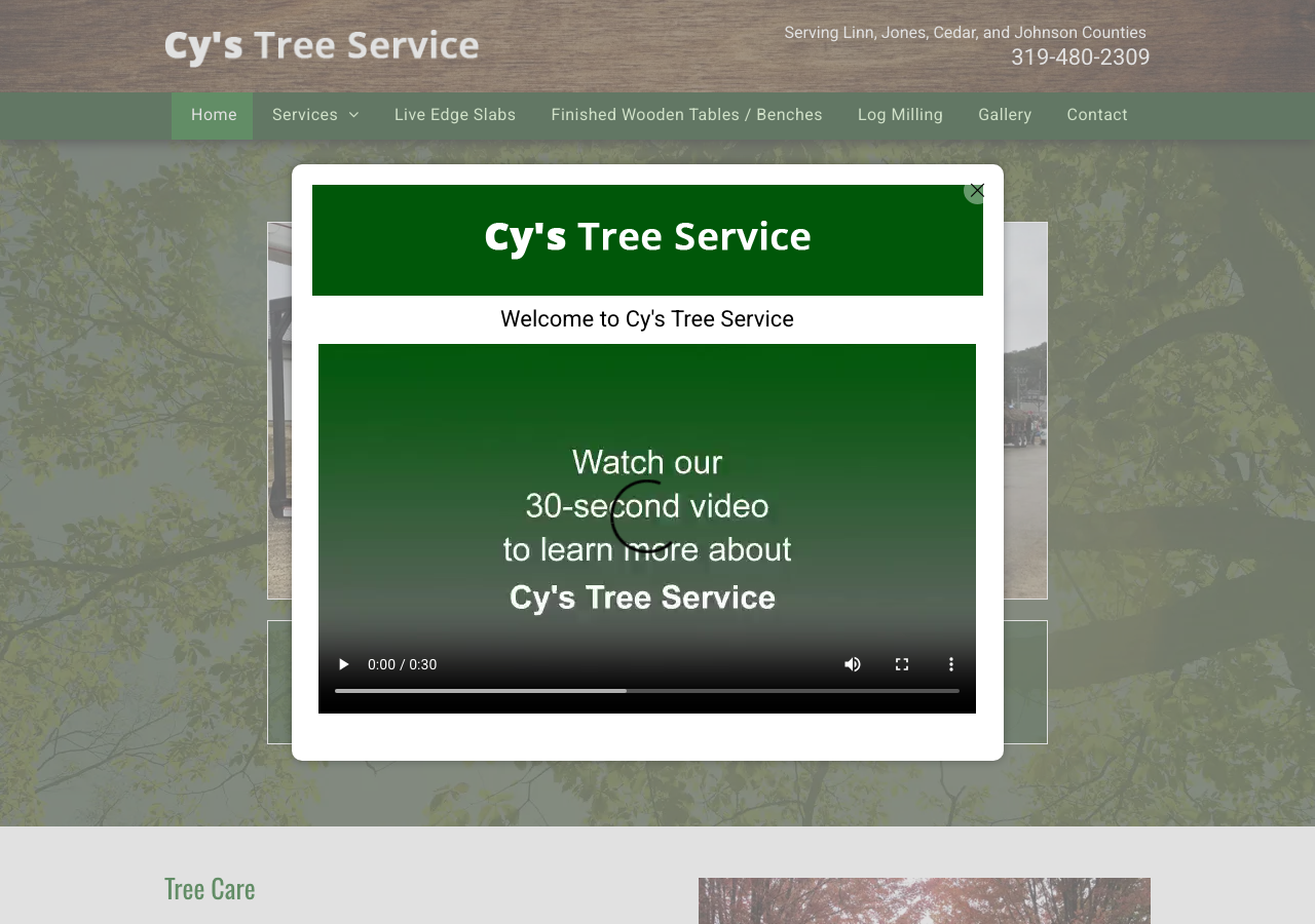 Current website screenshot