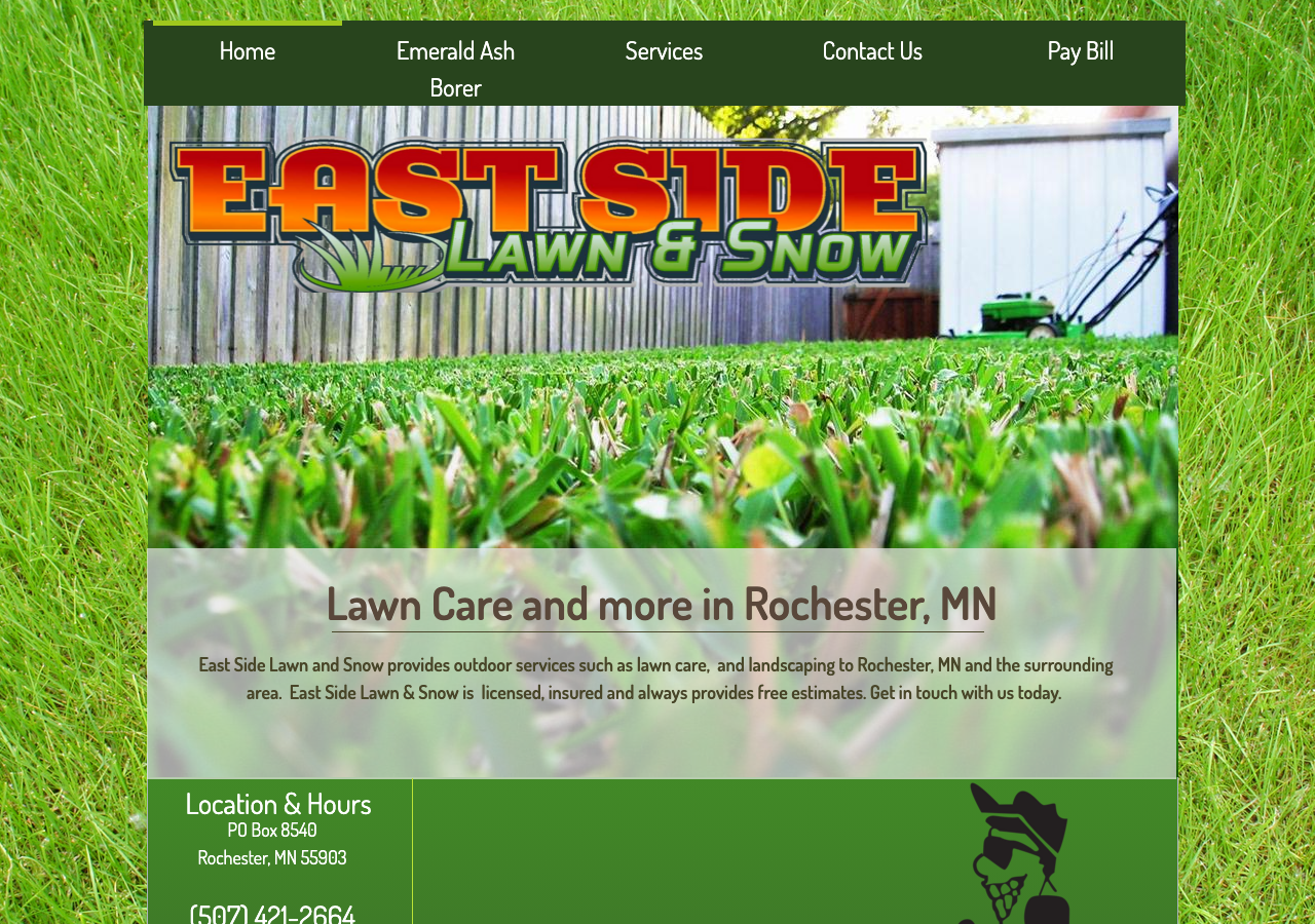Current website screenshot