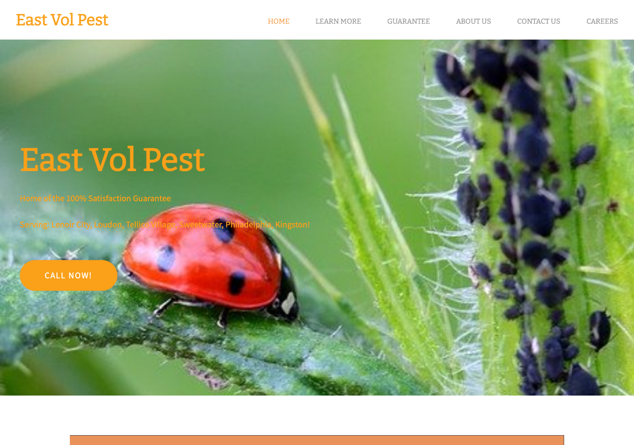 Current website screenshot