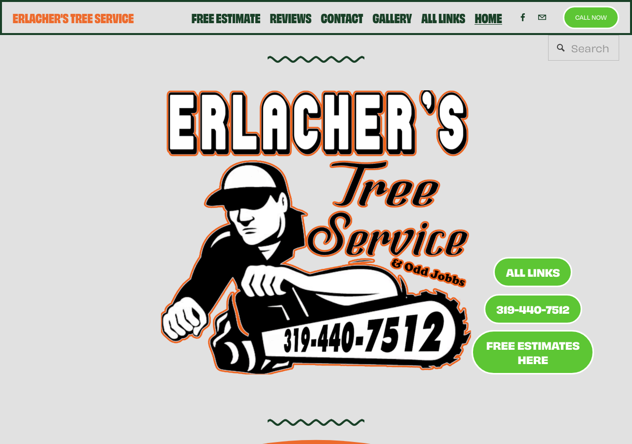 Current website screenshot