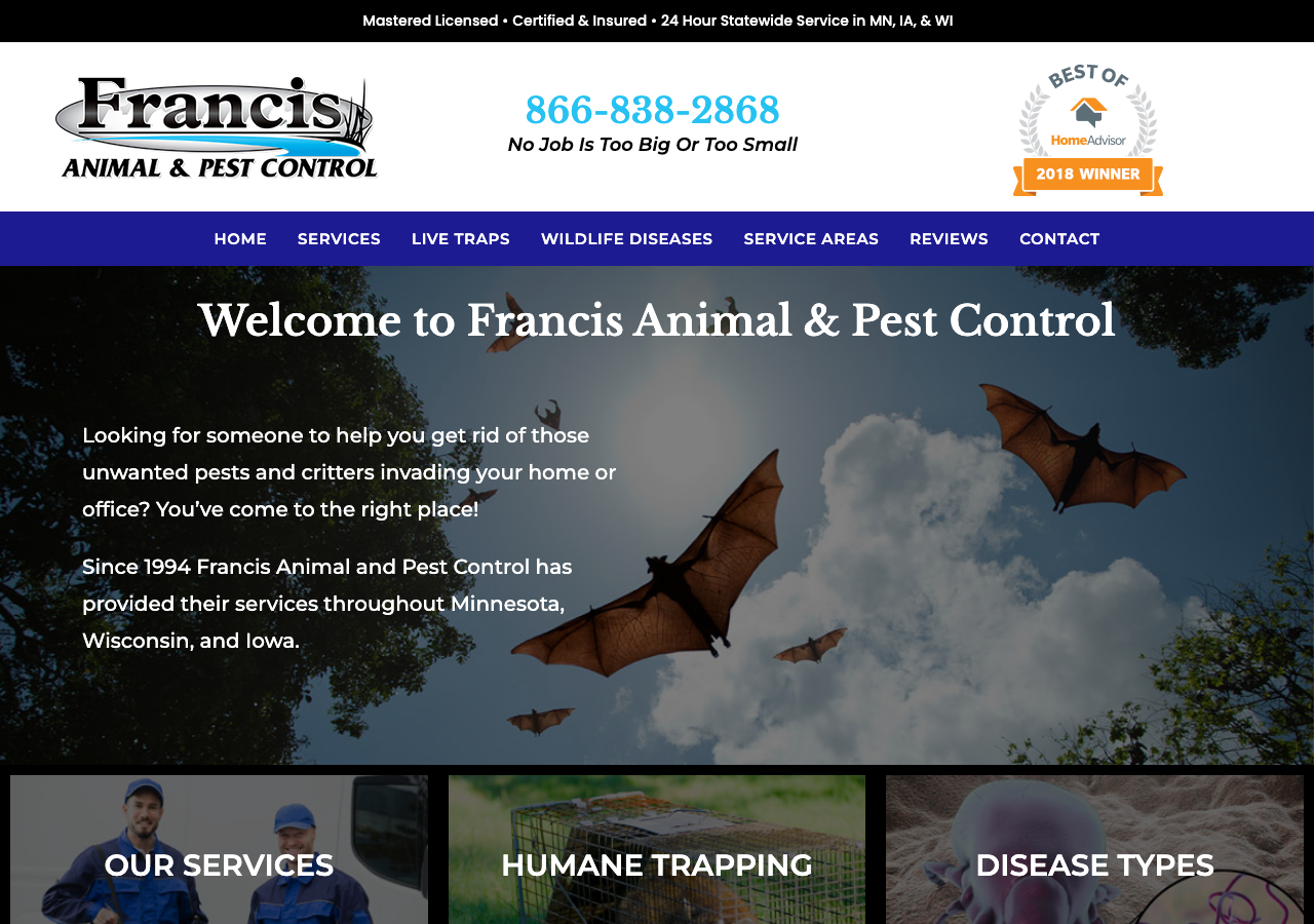 Current website screenshot