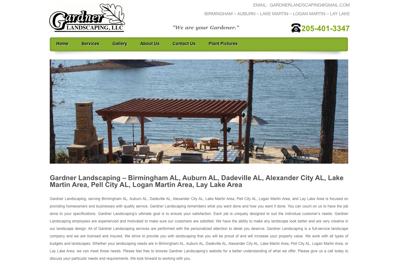 Current website screenshot