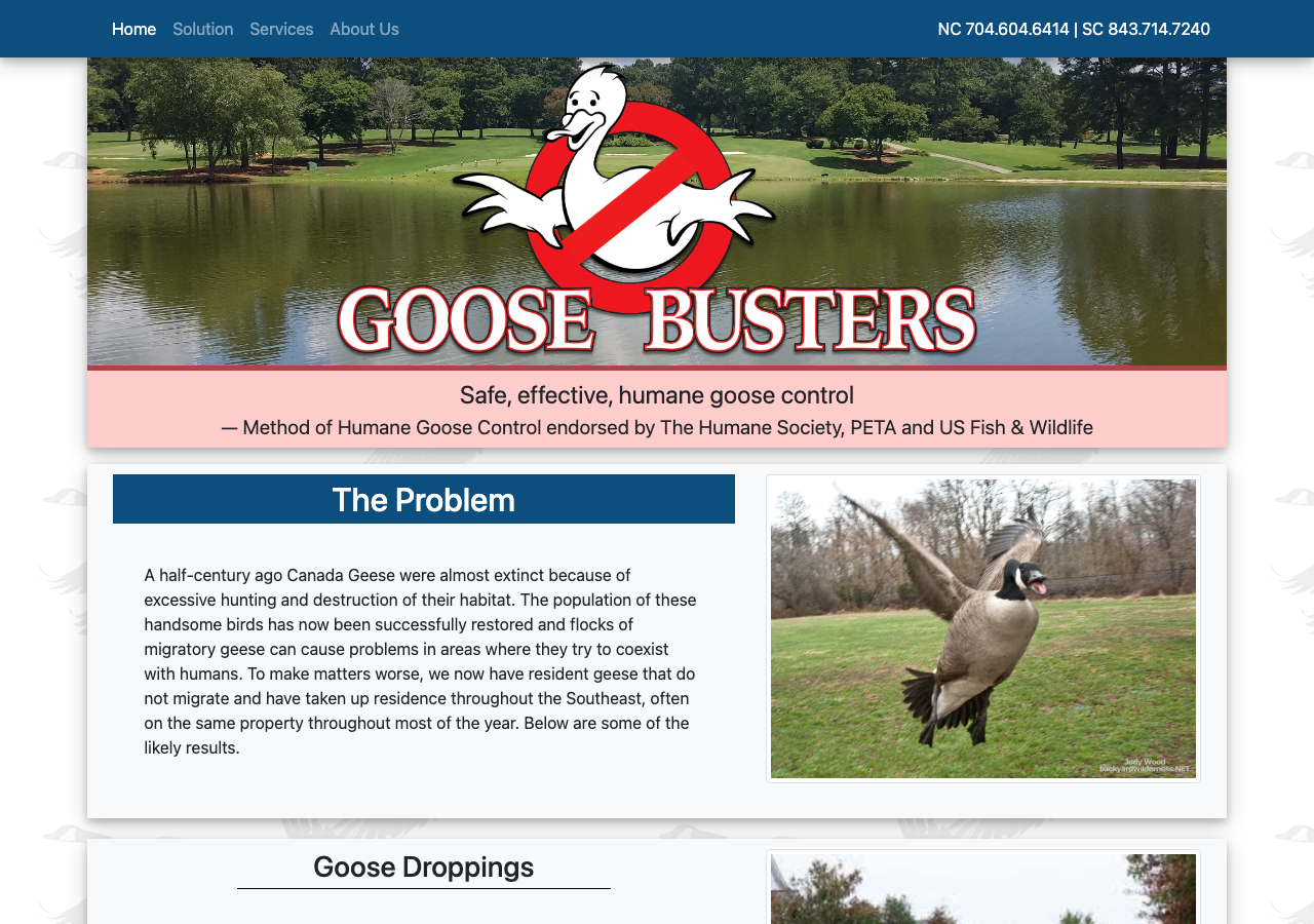 Current website screenshot