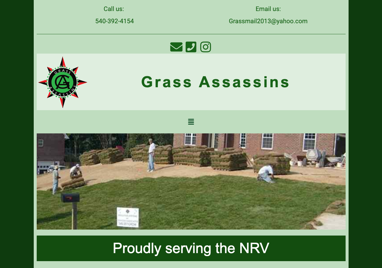 Current website screenshot
