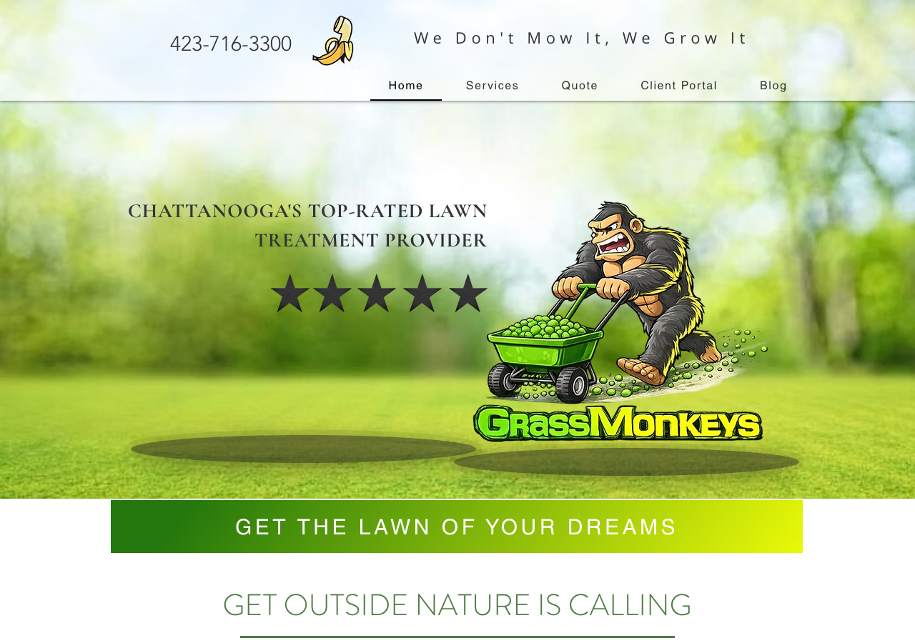 Current website screenshot
