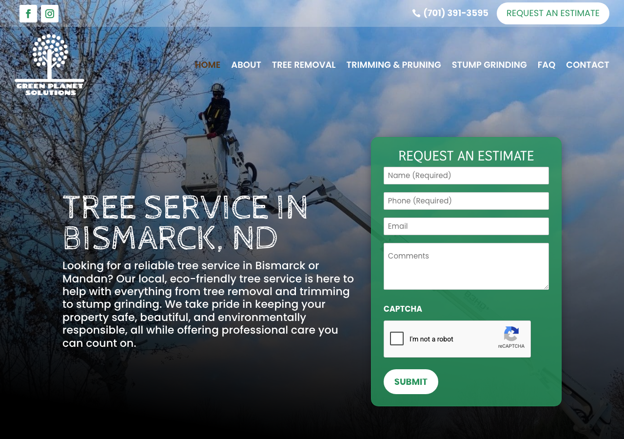 Current website screenshot