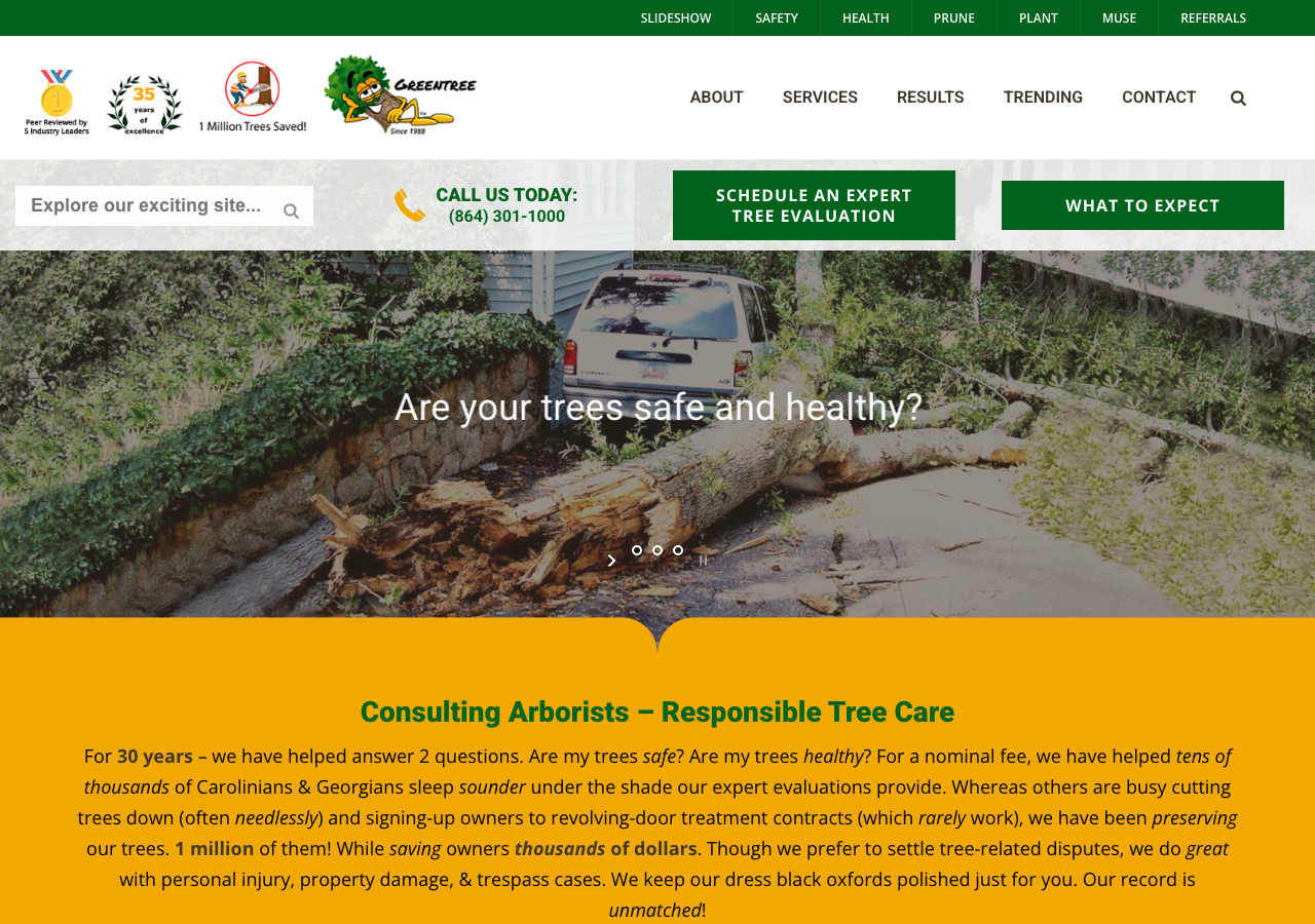 Current website screenshot