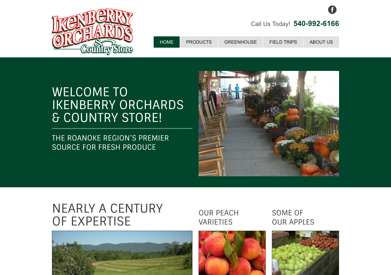 Current website screenshot