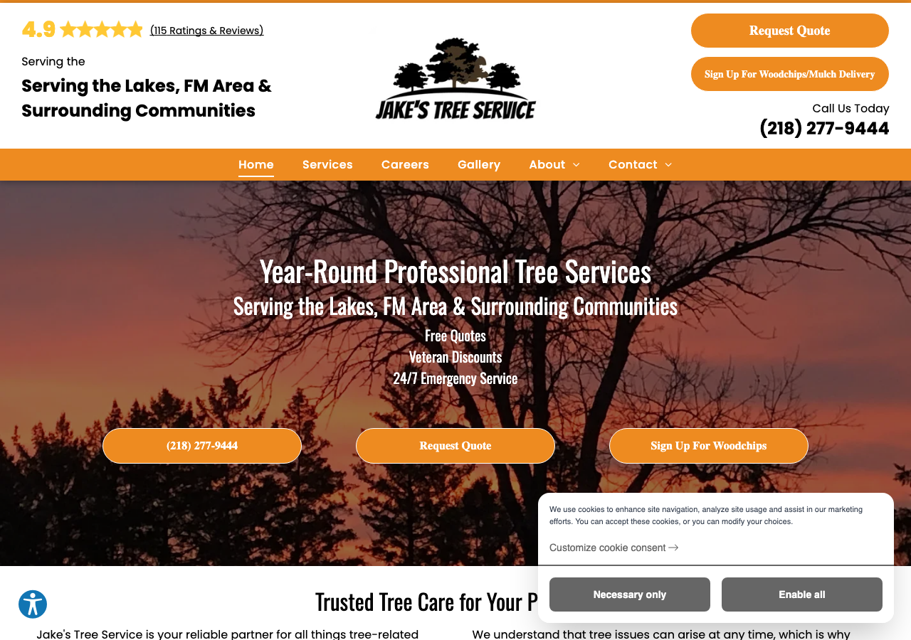Current website screenshot