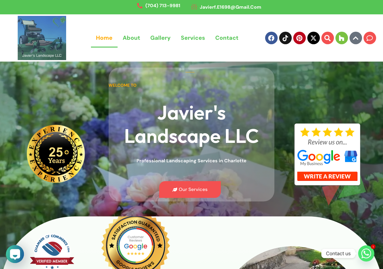 Current website screenshot