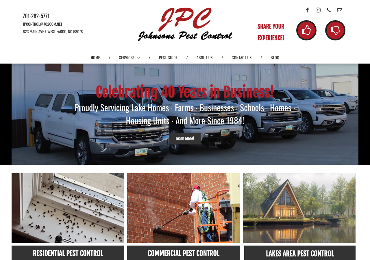 Current website screenshot