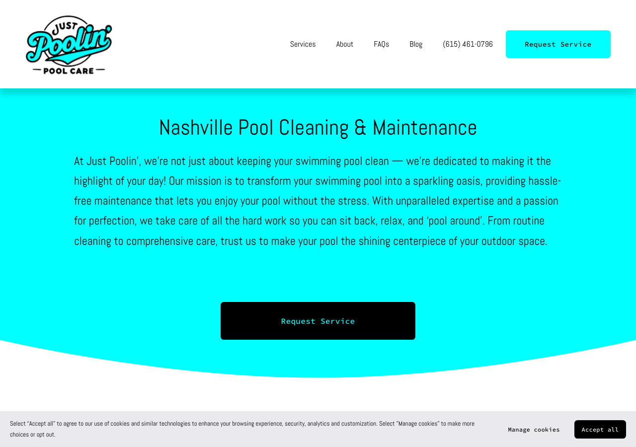 Current website screenshot