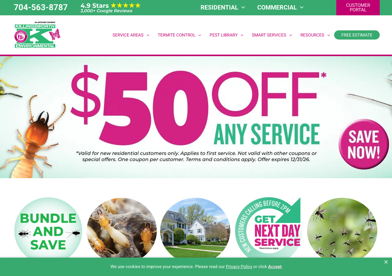 Current website screenshot