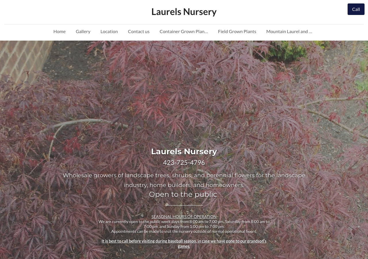 Current website screenshot