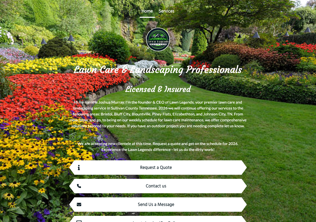 Current website screenshot