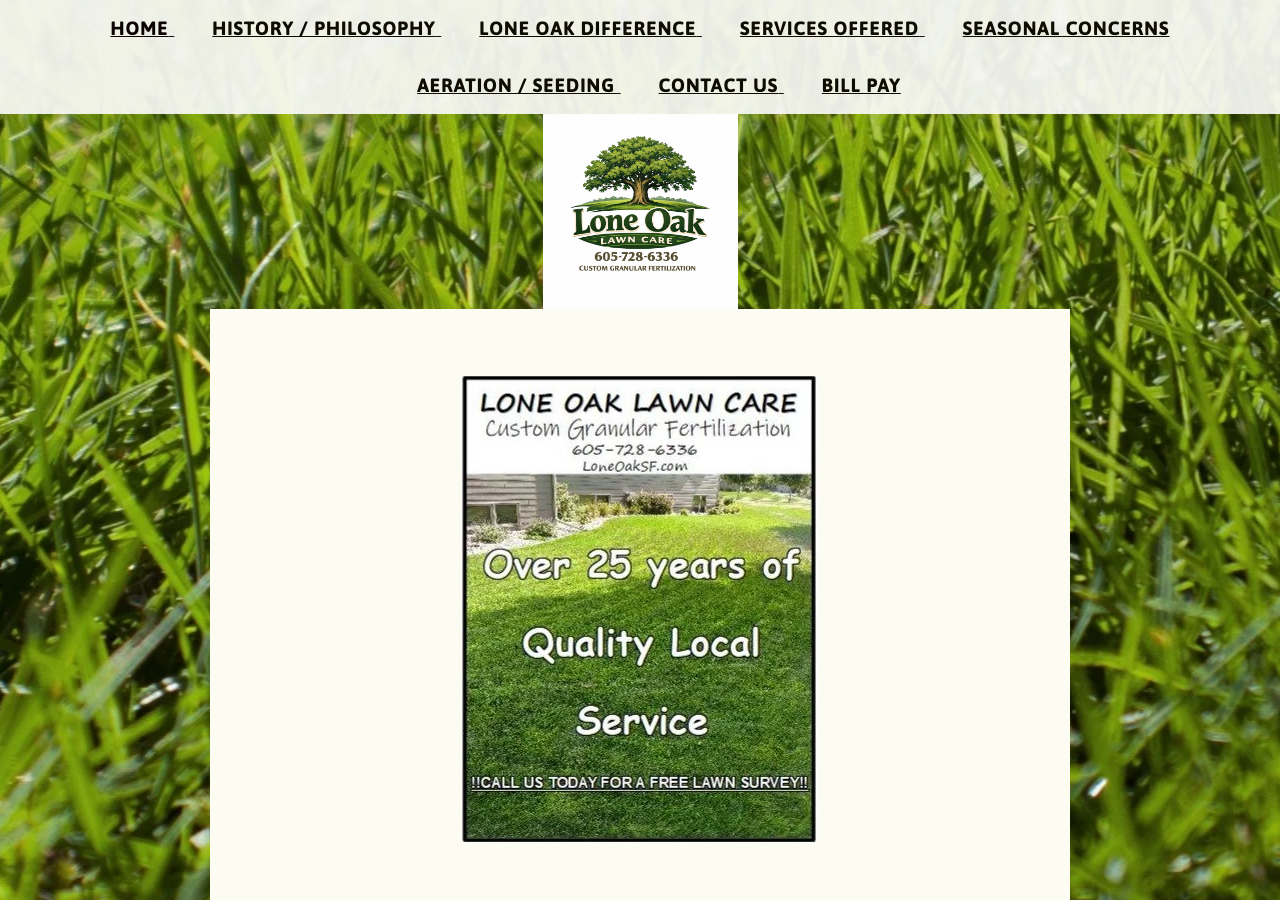 Current website screenshot